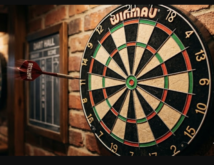 Professional dartboard at Darts Club Palodia Ahmedabad